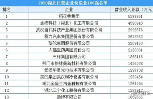 “湖北制造”冠军诞生，超越金澳科技、三环集团，年收入达500亿