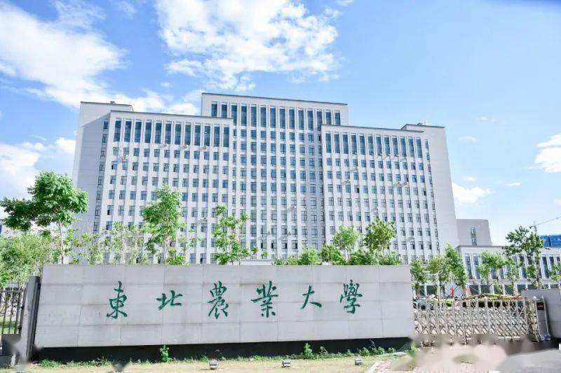最新2022年黑龙江省大学排名出炉：哈工大继续领跑