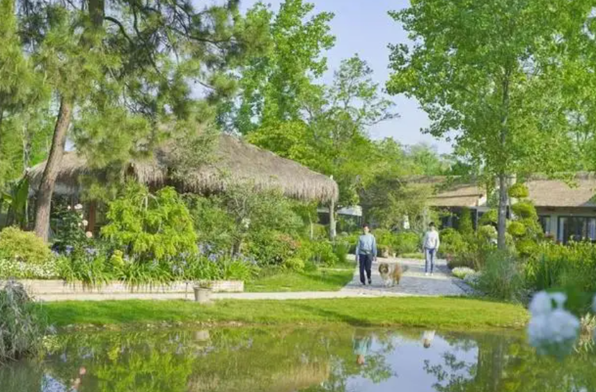 腾讯“元老”魏震：赚够钱后辞职，携妻儿退隐山林，每日喝茶种地