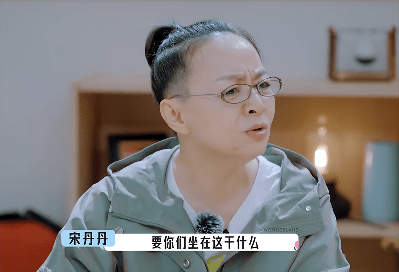 宋丹丹被骂、张凯丽刘敏涛遭嫌弃，为什么综艺节目争着请老前辈？