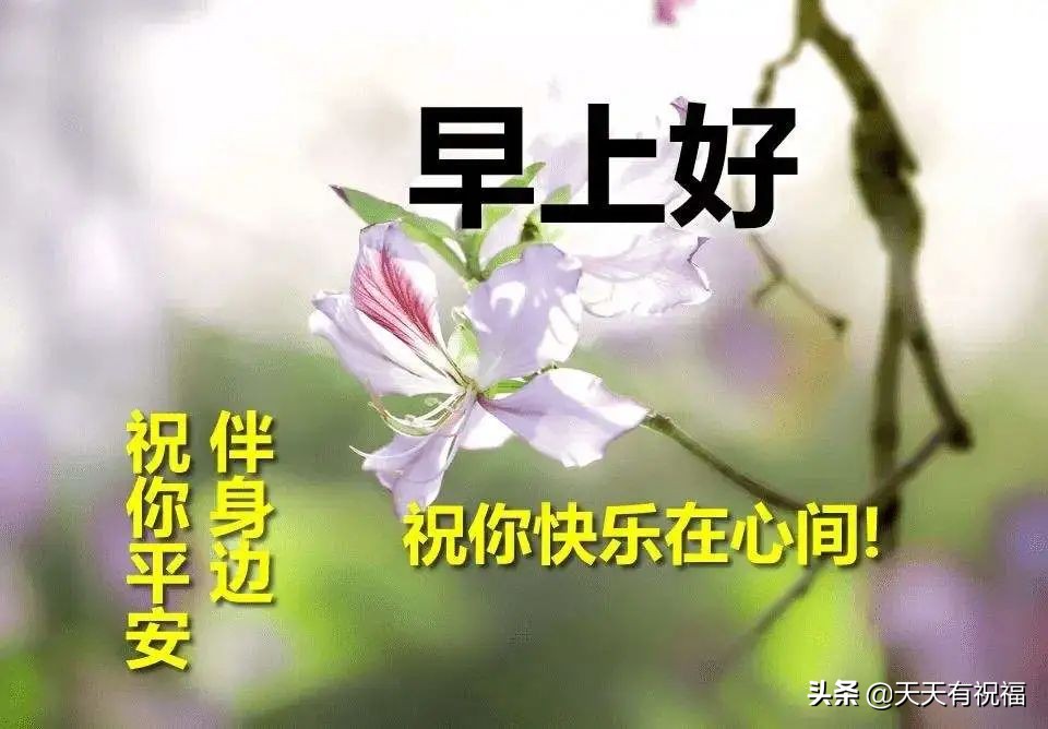 最美早安问候祝福语图片带字温馨 朋友圈暖人心的早安问候祝福文字