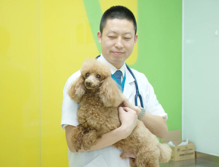 适合专科学生学习的十大专业，男女均可报考，就业率高于本科生