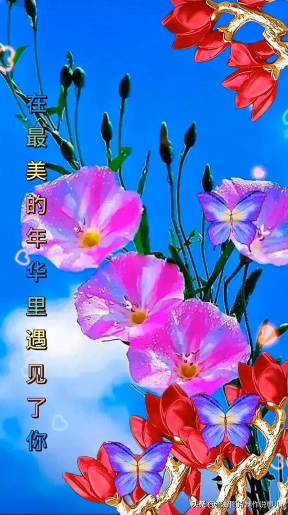 春色满园花盛开，群蜂恋蕊采蜜来