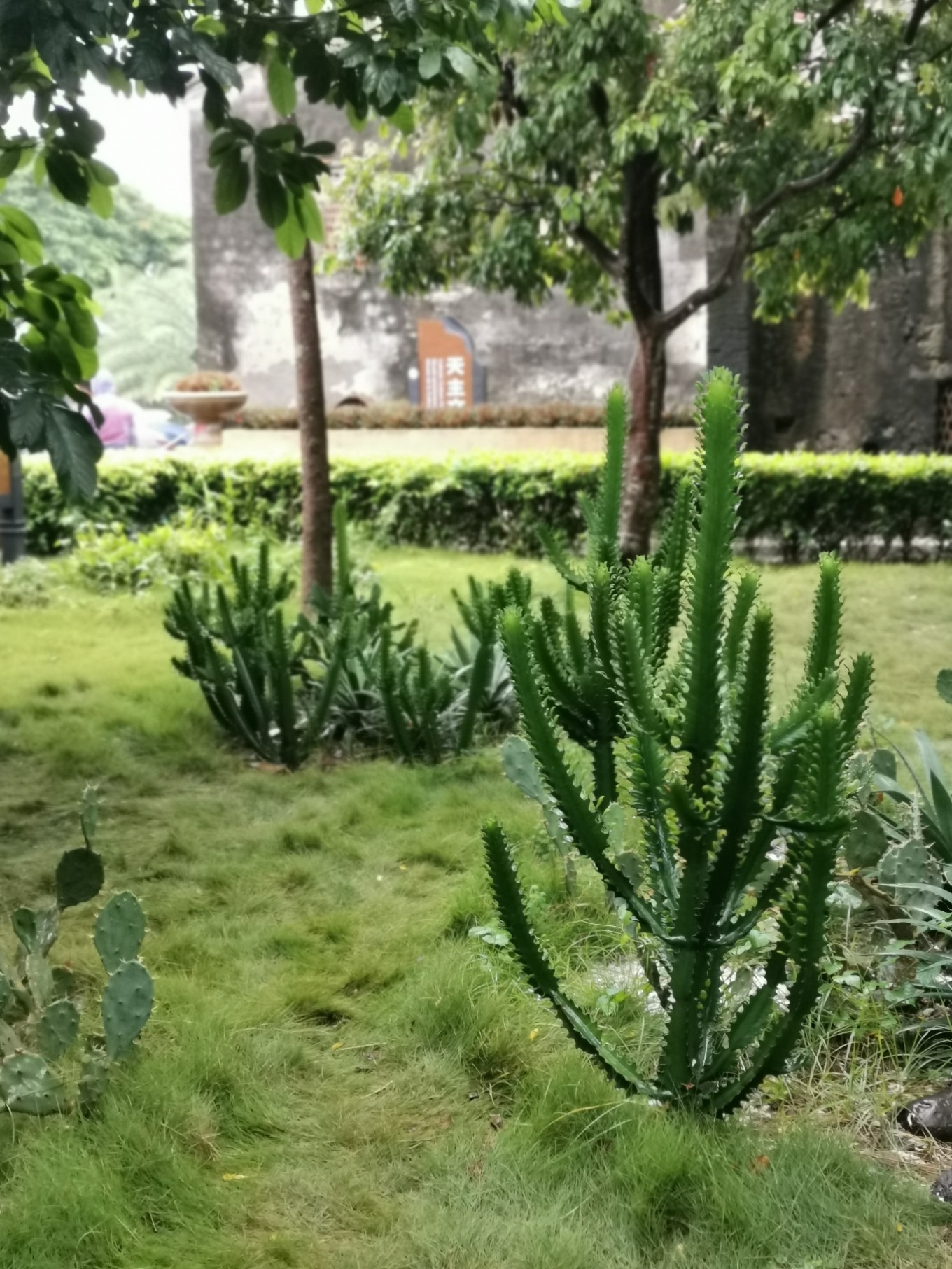 北海，是我的诗和远方