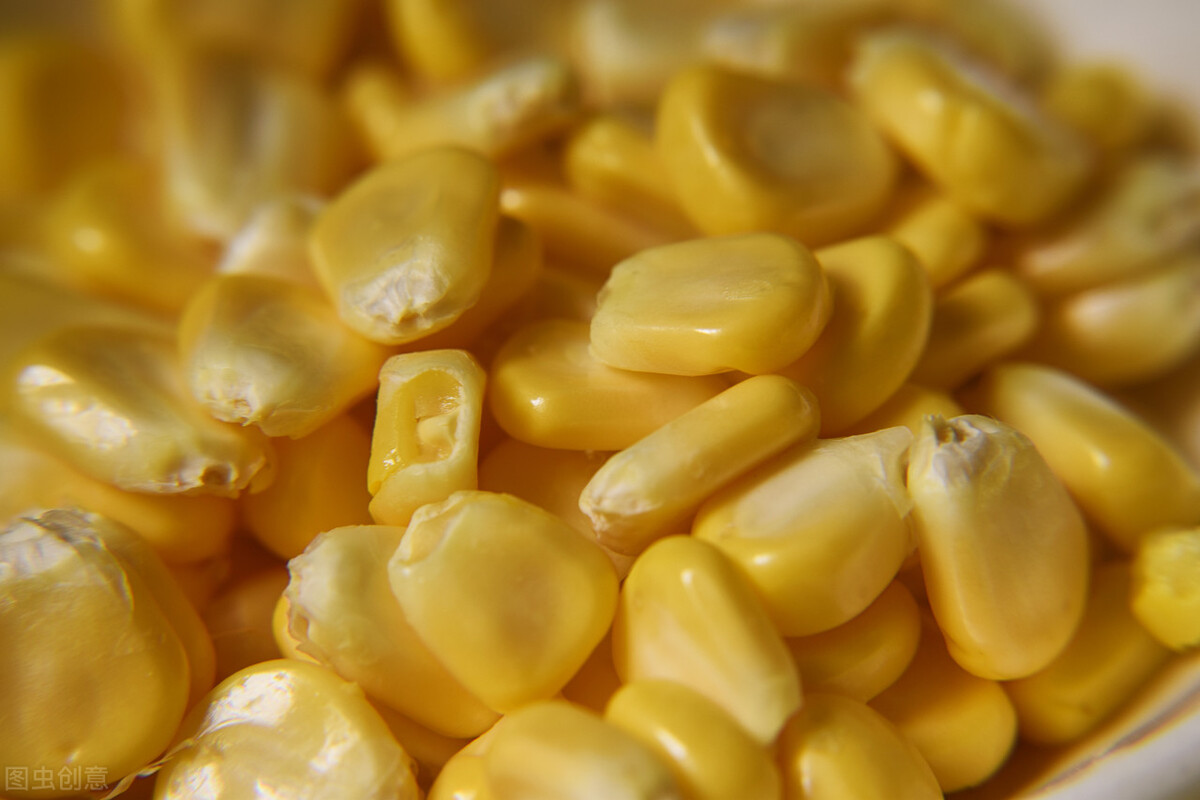 5月20日，玉米市场有大动作，稻谷拍卖全部成交，进口玉米量激增
