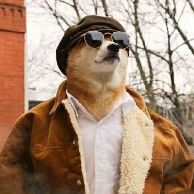 发生货损，对方和你说这属于不可抗力，所以没有赔偿，真的如此吗