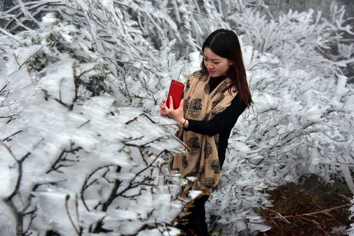 讚美雪的優美句子100字「讚美雪的優美句子發朋友圈」_愛閱讀