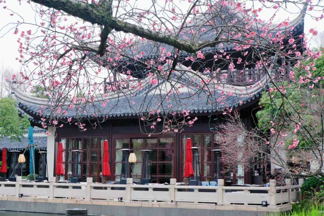 暴吃杭州13家高端餐厅，这份美食地图都是体重换的