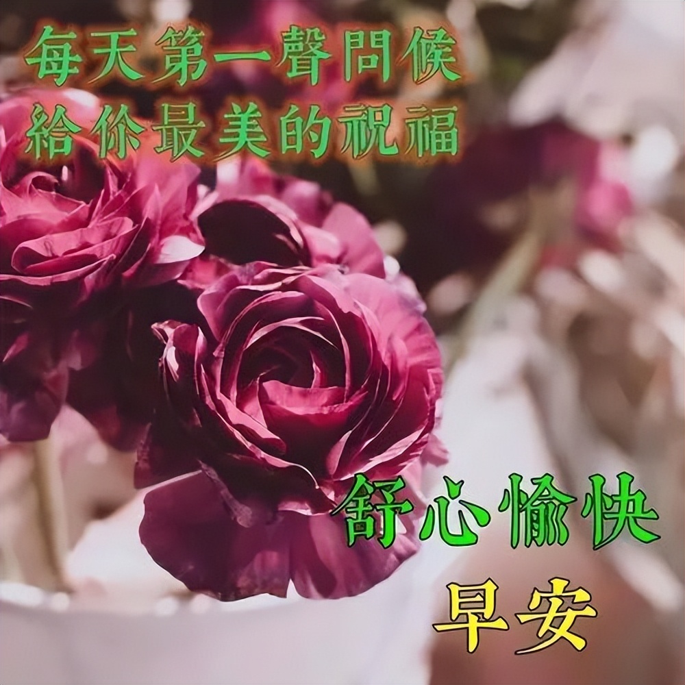 只有尝试过，努力过，坚持过，才能有收获