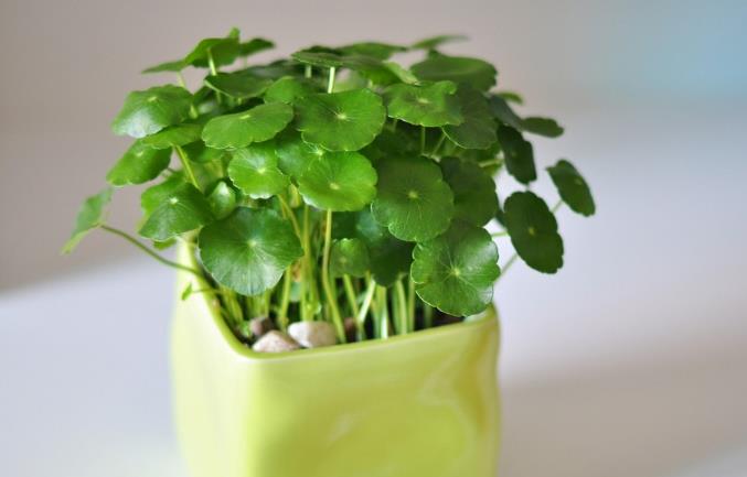 兄弟姐妹交往时，心机越重的人，越喜欢做这几件事