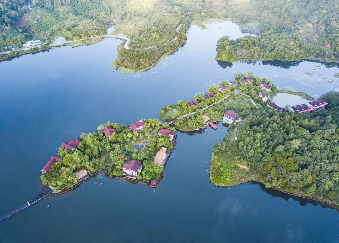 中国值得去的10大森林景点，自然风光爱好者打卡地，你去过几个？