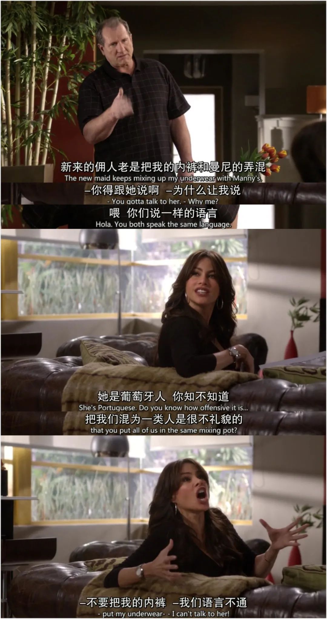 怎么分辨西班牙語跟意大利語（歐洲人平均會說3-4門語言，是真的嗎？）