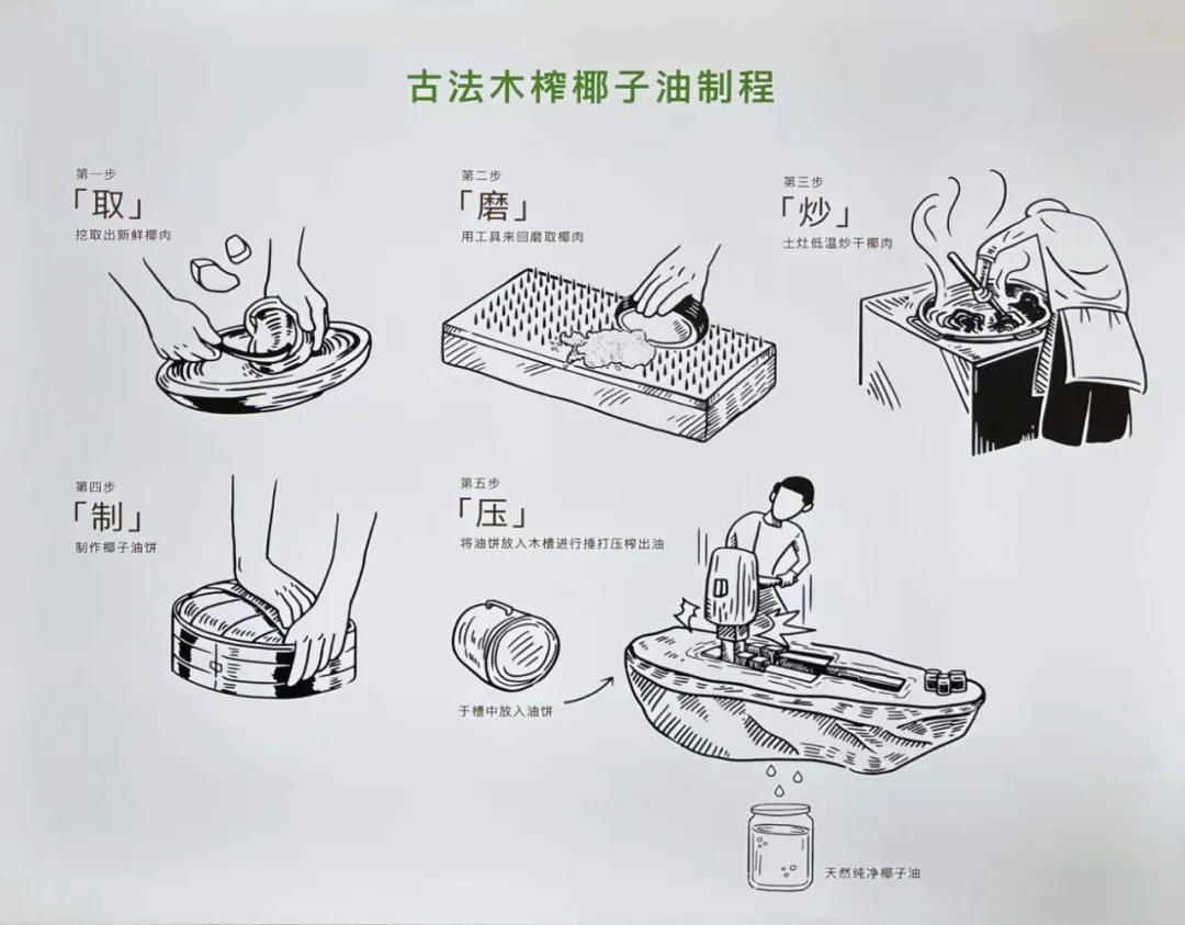 去海南,探访椰子潮流背后的秘密