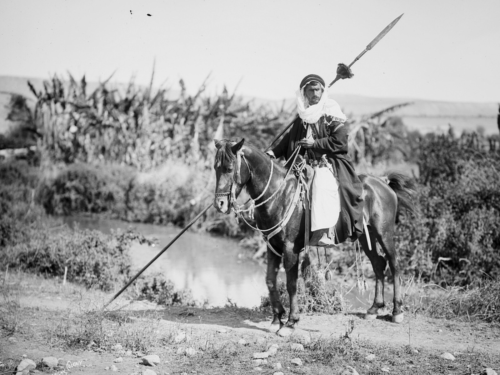 现实版钢铁侠:睡数百女星,花费56亿造废铁,下场却令人唏嘘-蘑菇号