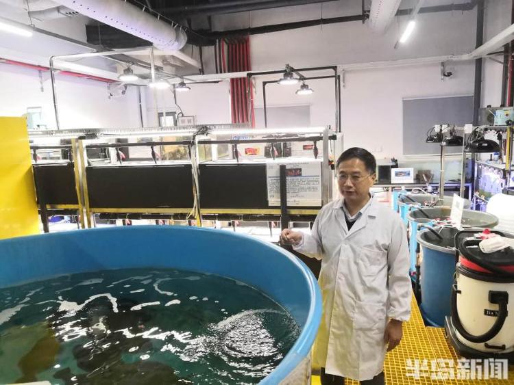 鱼类基因组秘密是被这位院士攻克的