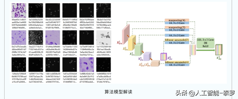 最近在学习yolov5(罕见！华为大神都力荐的“人工智能学习路线”，到底厉害在哪里？)