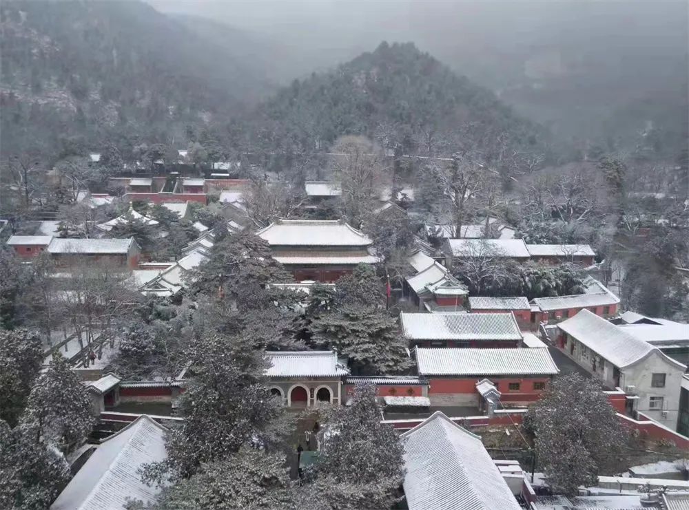 当春花遇上春雪，看京城别样的诗意与浪漫~