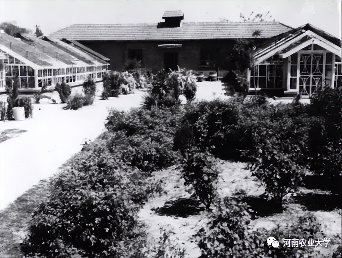 1945——1949，农学院师生们的“南征北战”