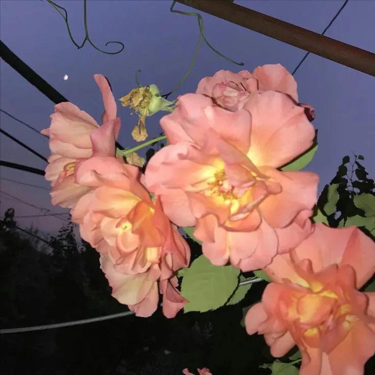 感到累了，停下来，听一听内心的声音