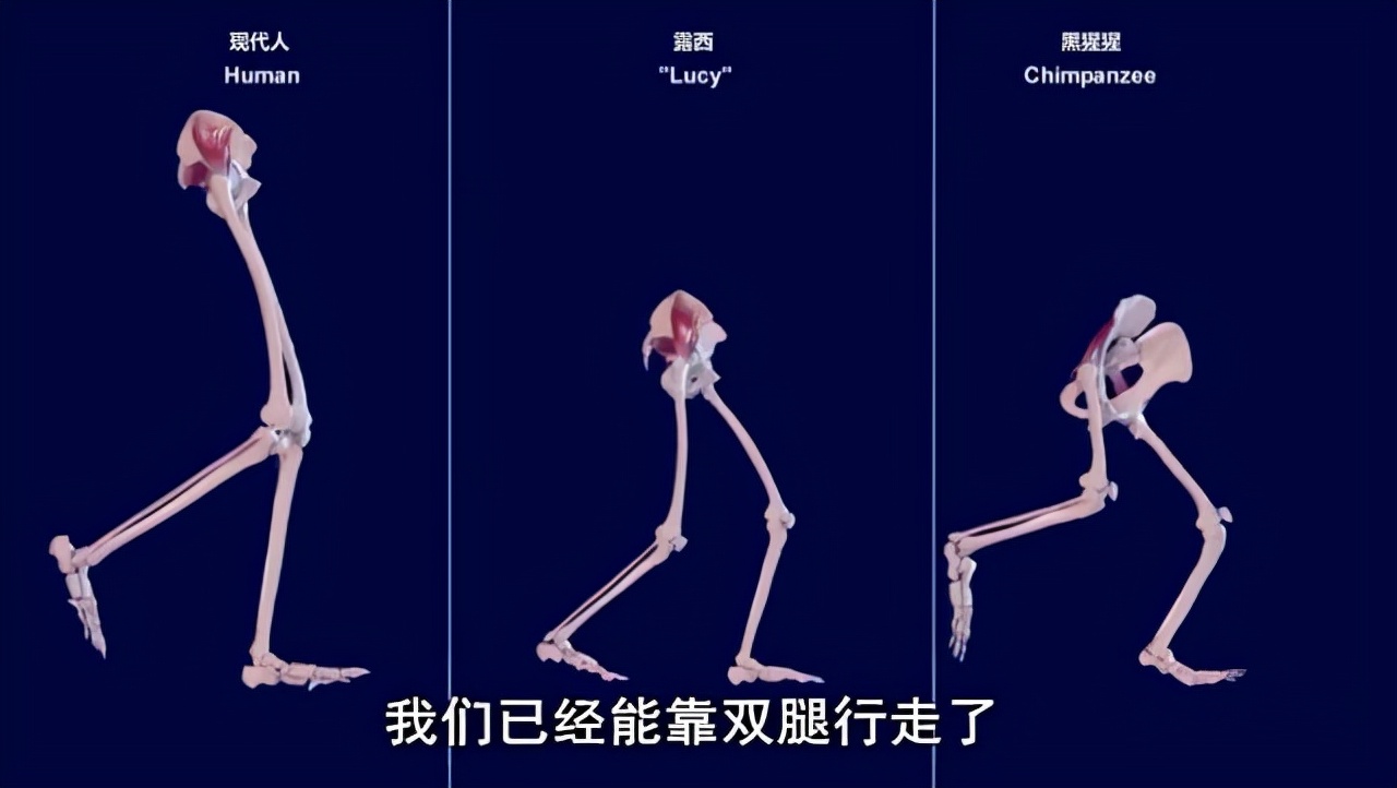 男童被母亲男友折磨,男孩被妈妈