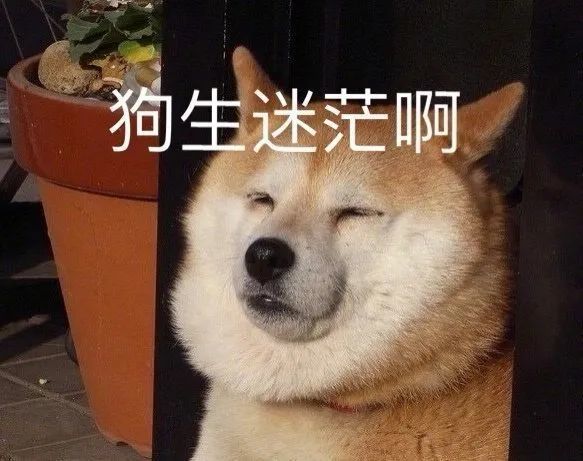 的设定和选择真的很重要,如果它足够清晰可以帮助你解决迷茫的问题