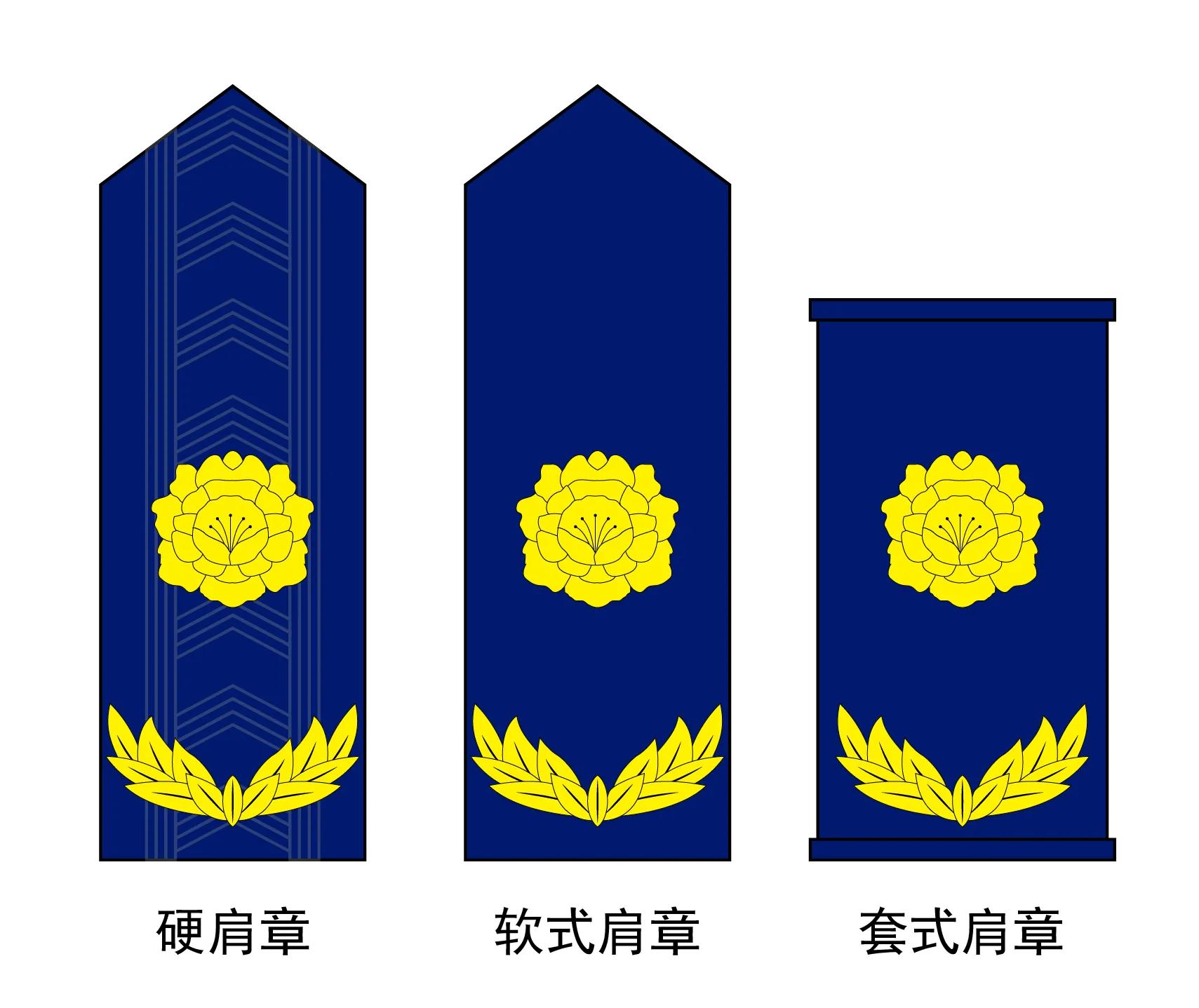 城市管理执法/综合行政执法队伍的服装标识一览