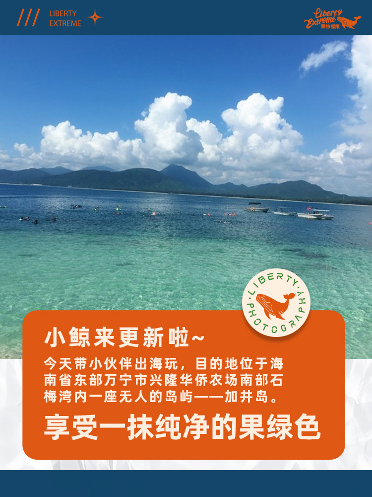 享受一抹纯净的果绿色 天天看点