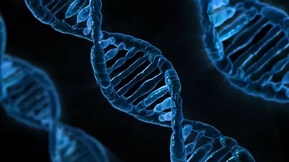 将生物免疫引入网络安全 数字免疫系统筑牢网络安全屏障
