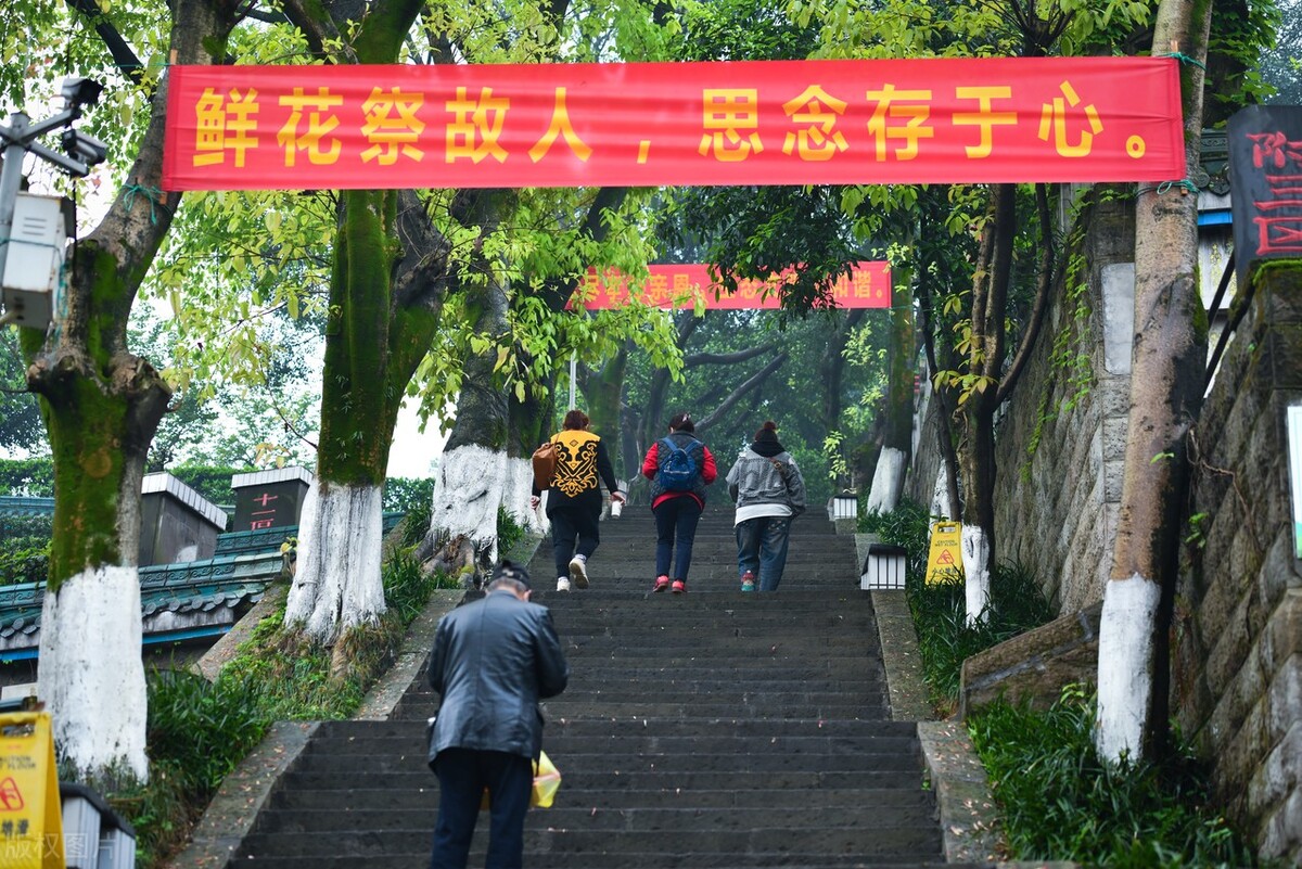 假如膝下无子，那么墓地过了使用年限无人续缴会怎么样？