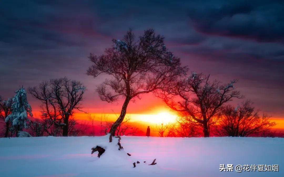 岁月如歌，流转无声，时光在指尖轻舞，留下永恒的诗行。