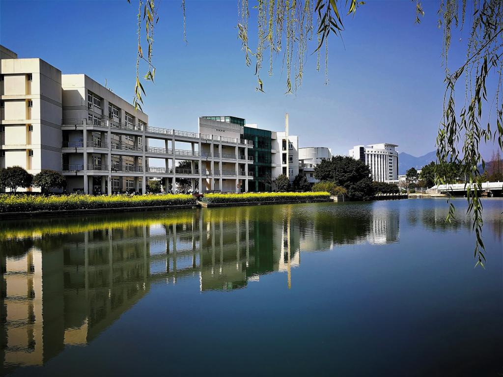 新增专业招生达397人，温州大学2022年艺术类录取需多少分？