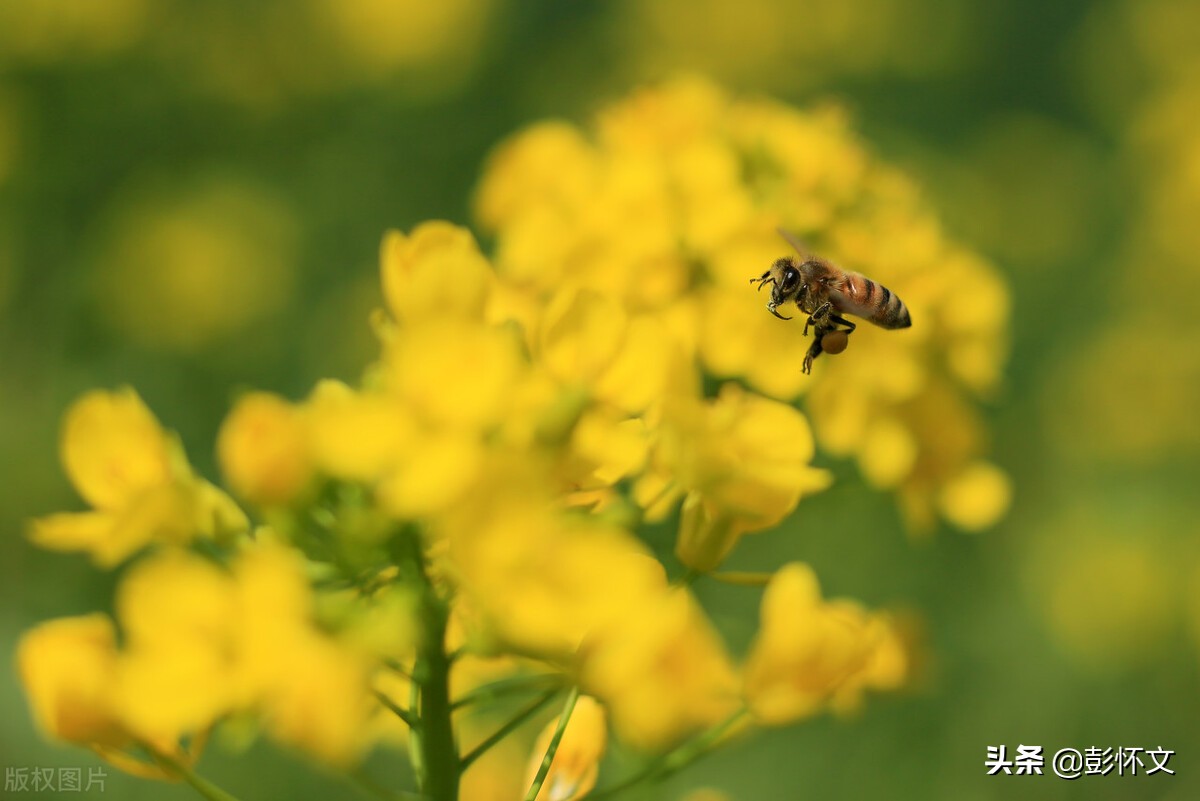 企业所得税汇算实务：销售折让的财税处理与税务风险管控