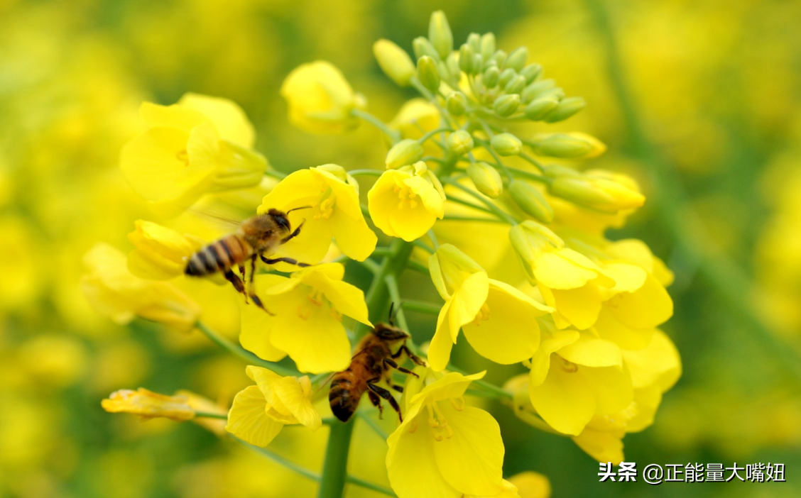 勇于面对自己的过失