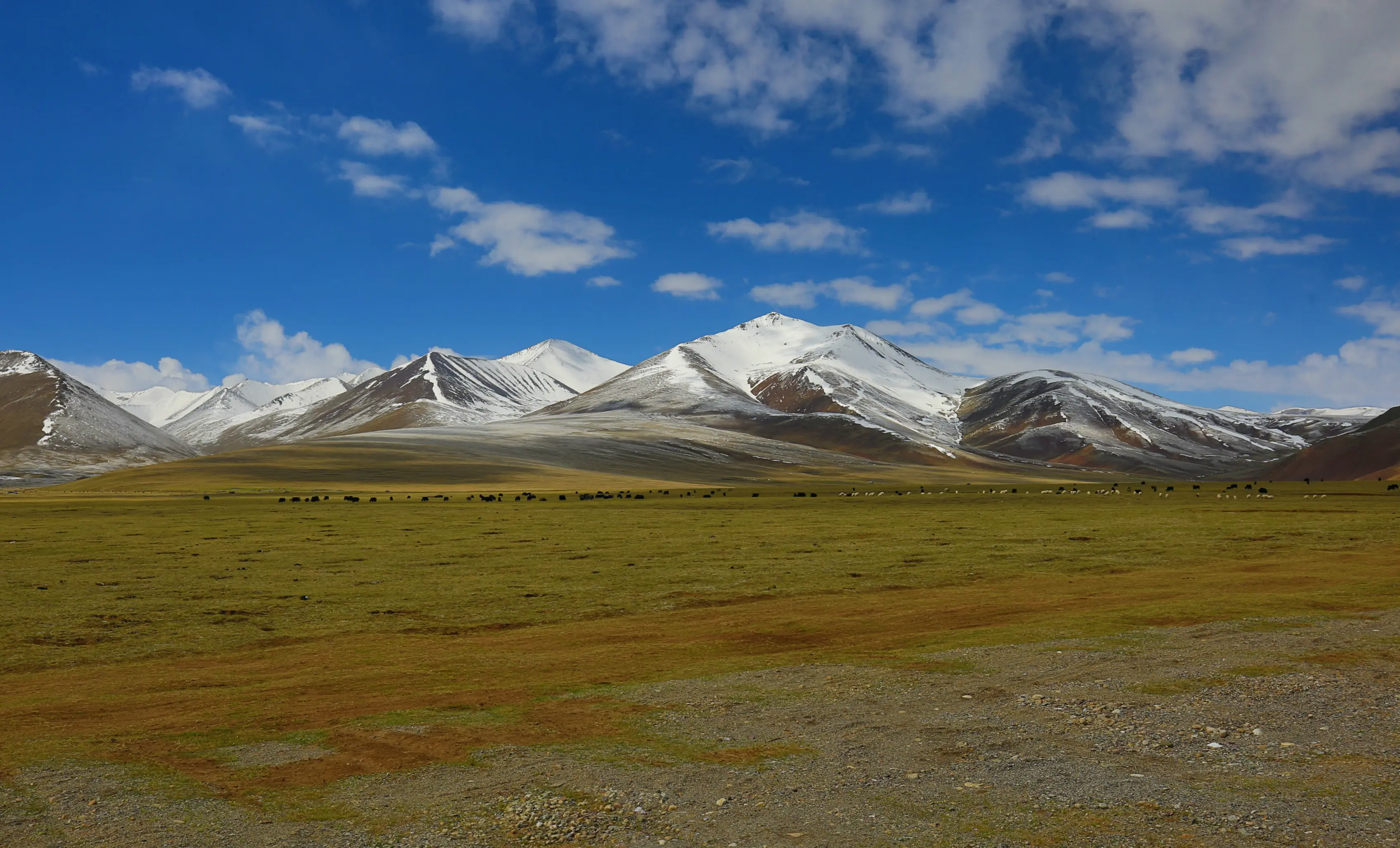 唐古拉山口景点图片