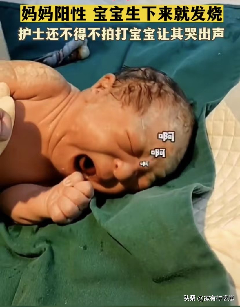 μԼͻȻ˸ŮμԼͻȻ˸Ů,Զ-Ʊ֪ʶѧϰ