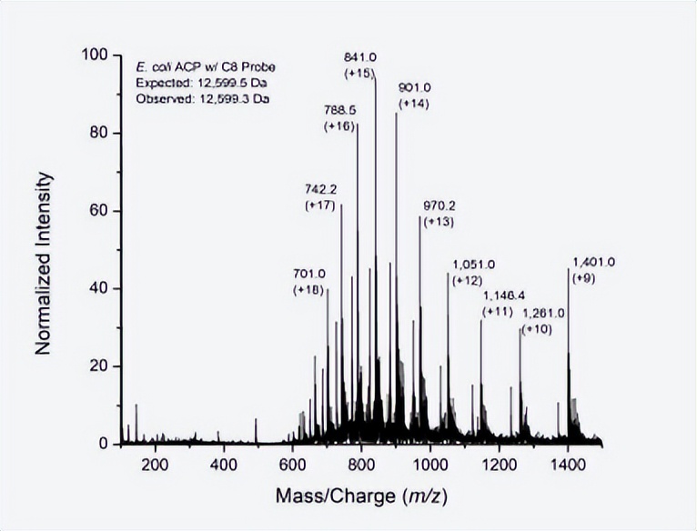 拉曼光谱解析步骤(用拉曼光谱技术追踪和分析载体蛋白质的运动)