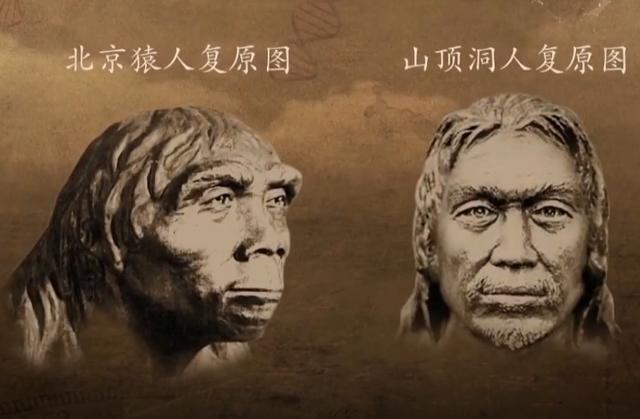 现代人起源:中国学者基因新理论,能否推翻"非洲起源说"?