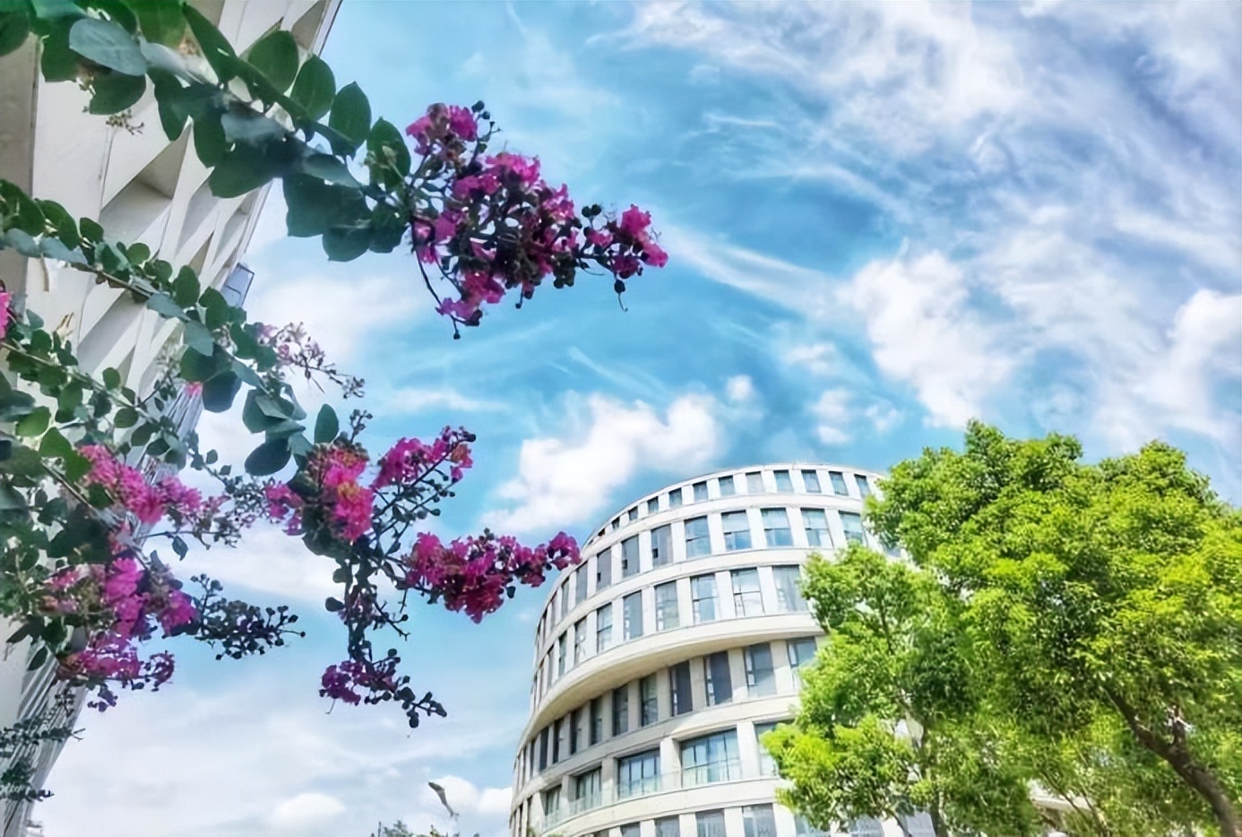 盛产学霸，实力一流！上海“双一流”：同学院42人集体升学名校深造！