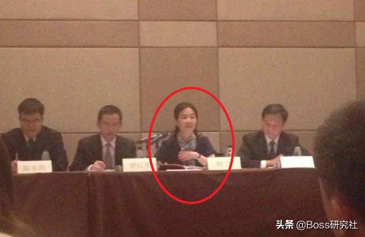 广东佛山十大富豪，共计坐拥7395亿元，杨惠妍身价缩水400亿