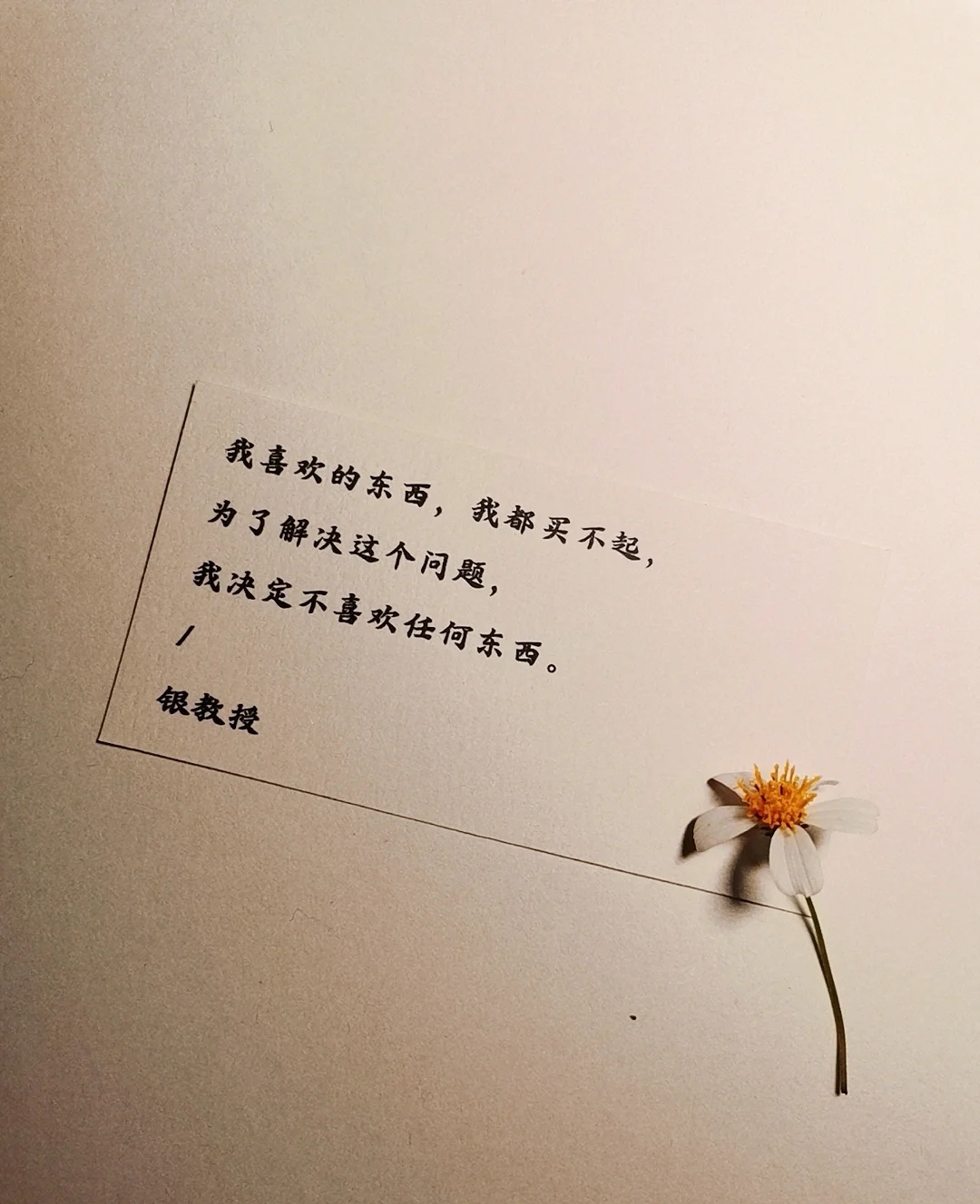 乐观面对生活的唯美句子,愿你心向阳光,元气满满