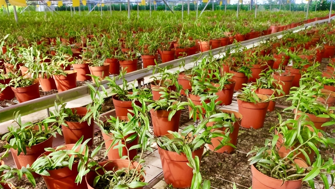 ̫�������г�Զ��2000�ڣ�Ϊ��ҪЯ��������̫�գ��������Ƿ�ȫ