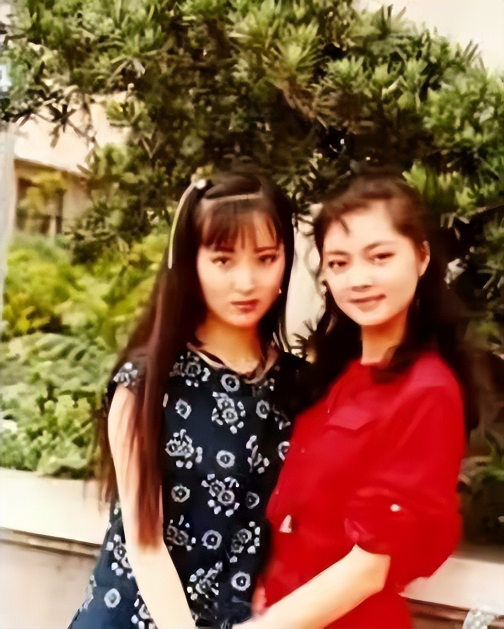 "薛宝钗"张莉身价过亿,56岁依旧未婚,终究难逃"红楼一梦"