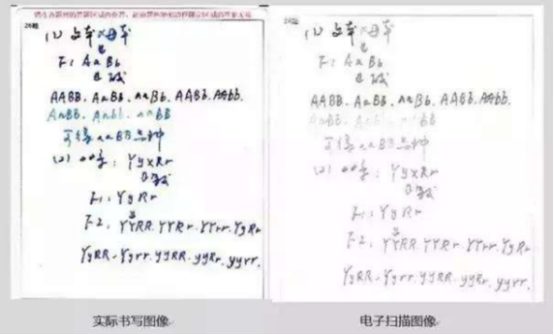 高考答题卡为何必须用2B铅笔涂呢？扫描后的试卷一对比，差距鲜明