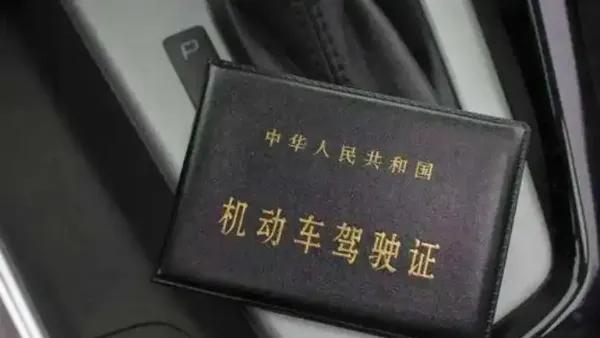 备案驾驶证档案编号查询不到（备案驾驶证档案编号查询不到怎么办）-第1张图片-昕阳网