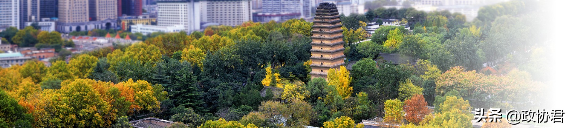 了解中国，从陕西开始