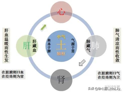 形象理解人体小宇宙运动