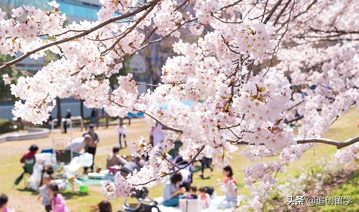 日本节日表(日本一年一度的节日和重要活动)