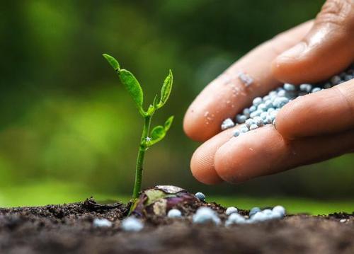 世界多地化肥价格攀升，有机肥、有机无机复混肥谁是收益者