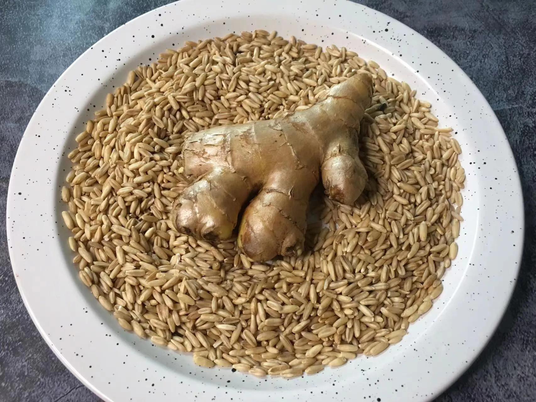 燕麥米和生薑炒一炒，沒想到這麼厲害，我傢一年四季都在喝