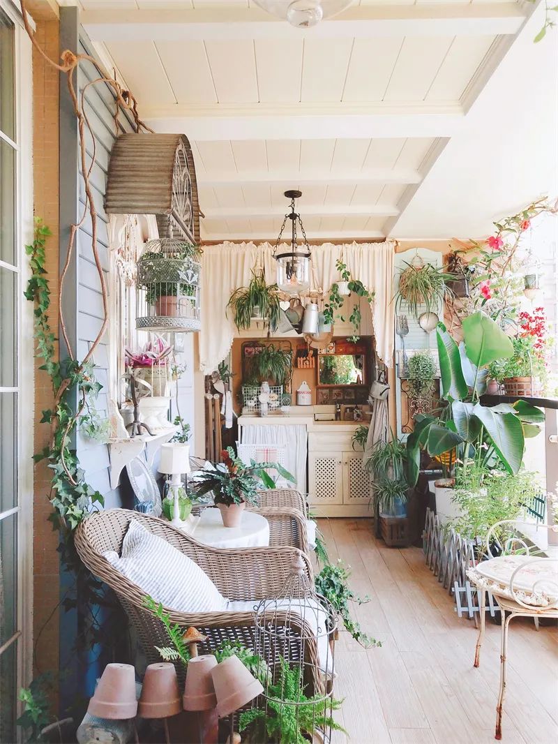 阳台花园，在这个面积不大的地方造梦，美了岁月，醉了时光